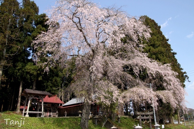 59 96 2010 貴船神社・貴船神社、宮城県仙台市泉区小角明神、画像.jpg